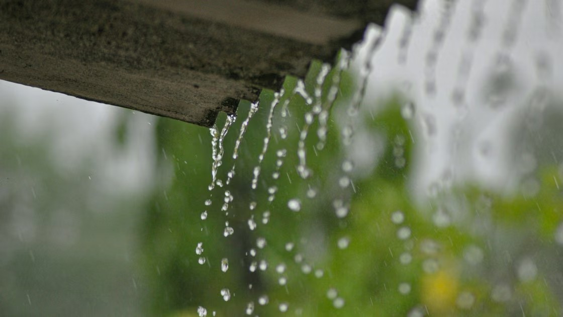 Brancher ses toilettes sur la cuve d&rsquo;eau de pluie : la ligne de facture qui ne baisse jamais