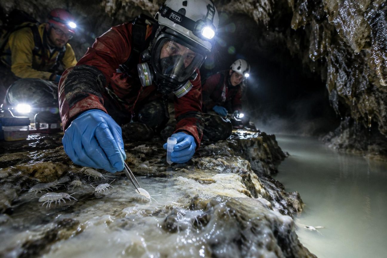 Cette grotte est restée scellée pendant 5,5 millions d'années : ce que les scientifiques ont trouvé à l'intérieur ne ressemble à rien de connu