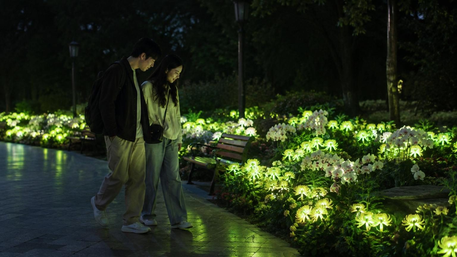 Des chercheurs chinois créent des plantes lumineuses avec de l'ADN de luciole : elles pourraient un jour remplacer les lampadaires