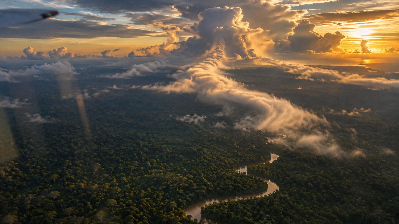 D'immenses fleuves coulent au-dessus de l'Amérique du Sud sans toucher le sol : des scientifiques viennent enfin de les cartographier