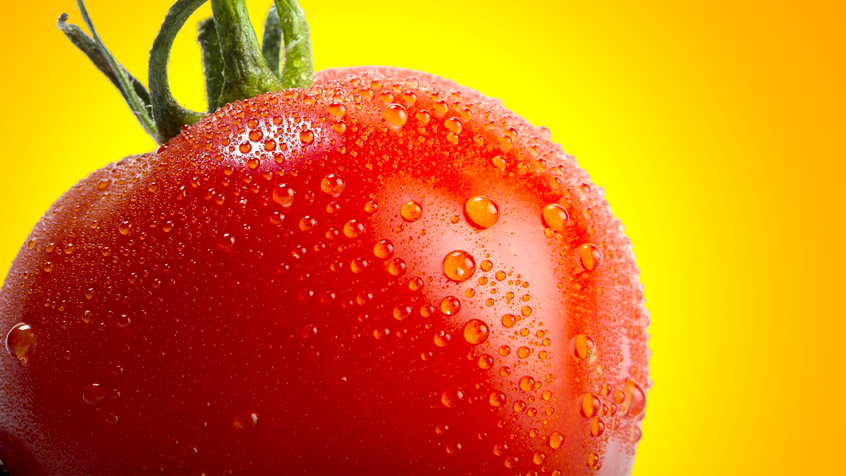 Sauce tomate trop acide ? Les chefs espagnols bannissent le sucre et misent sur 3 gousses d’ail et 150 ml d’huile d’olive