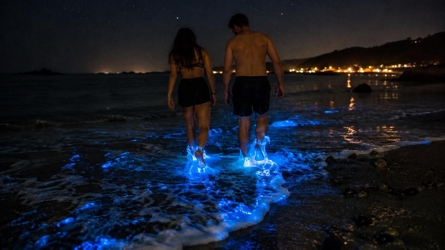 Les plages brillent en pleine nuit d'un bleu électrique : la science explique enfin ce phénomène et où l'observer