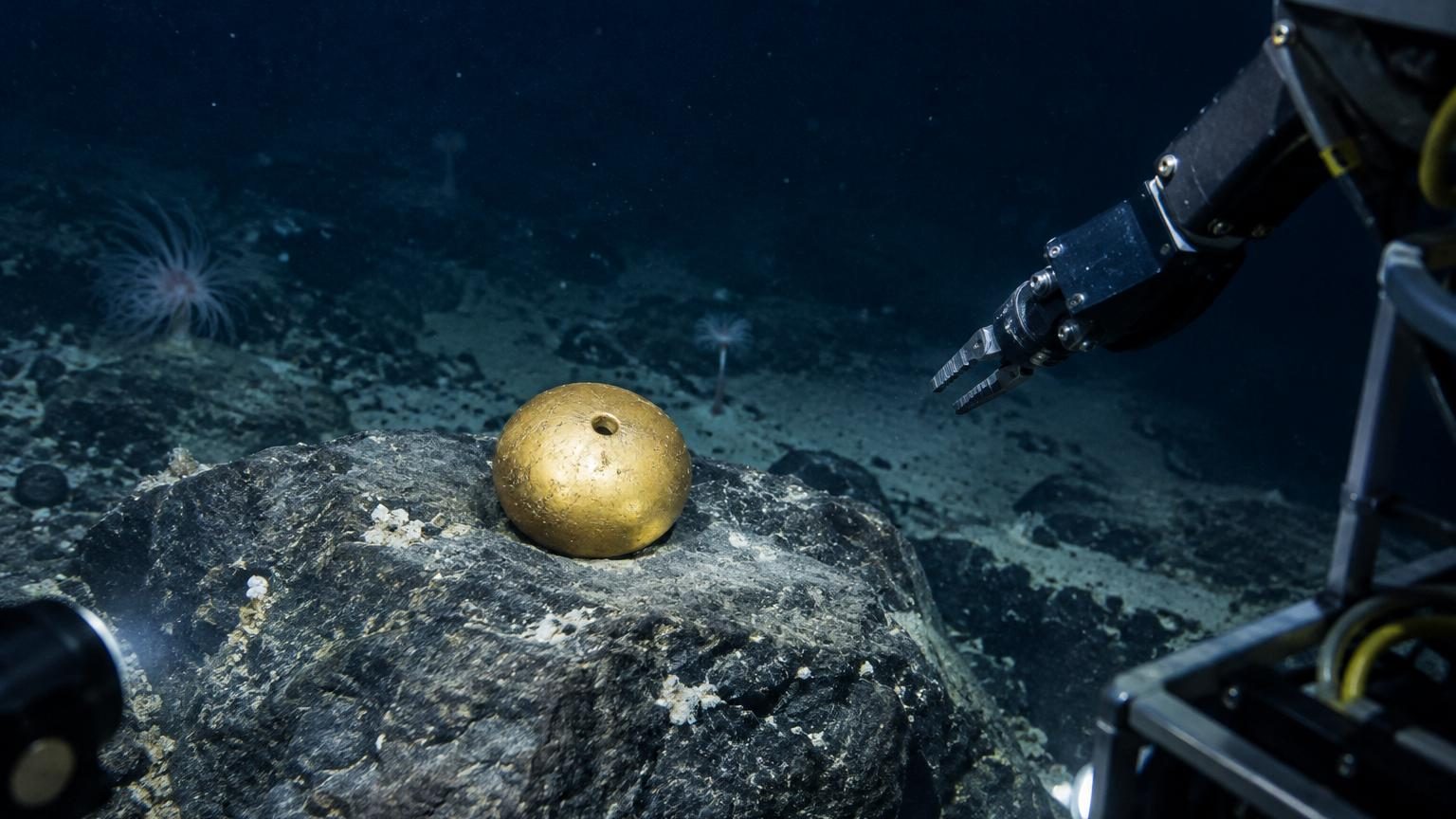 Un robot filme une mystérieuse « boule dorée » au fond du Pacifique : après des centaines d'analyses, les scientifiques livrent enfin la réponse