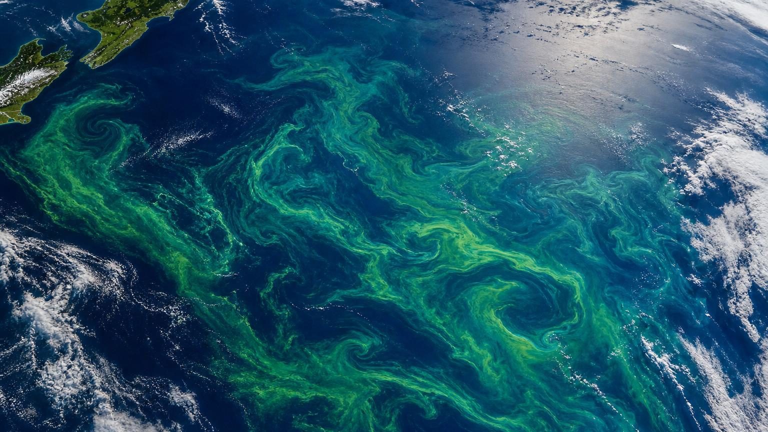Vue satellitaire d'une vaste tache vert vif s'étendant sur plusieurs dizaines de kilomètres dans l'océan au sud-est de la Nouvelle-Zélande, avec des volutes et des filaments modelés par les courants.